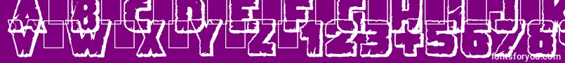 fuente DemolitionCrackShadow – Fuentes Blancas Sobre Fondo Morado