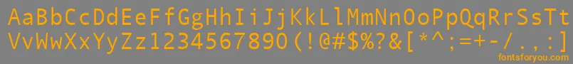 フォントQuicktypeIiMono – オレンジの文字は灰色の背景にあります。