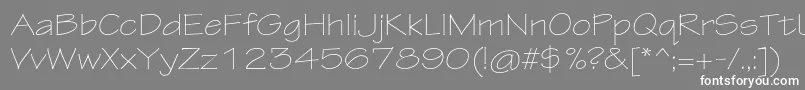 TektonproLightext Font – White Fonts on Gray Background