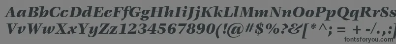VeljovicstdBlackitalic-Schriftart – Schwarze Schriften auf grauem Hintergrund