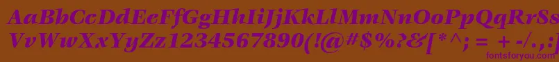 VeljovicstdBlackitalic Font – Purple Fonts on Brown Background