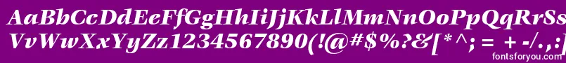 Czcionka VeljovicstdBlackitalic – białe czcionki na fioletowym tle