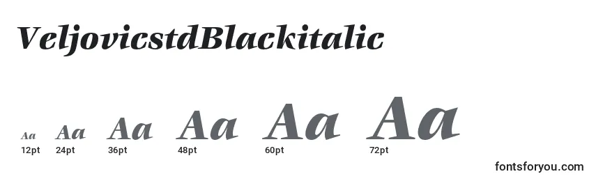 Размеры шрифта VeljovicstdBlackitalic