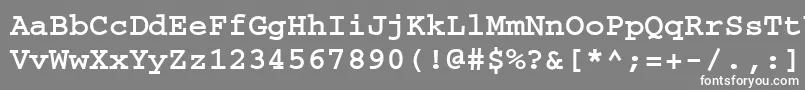 フォントCourierfttBold – 灰色の背景に白い文字