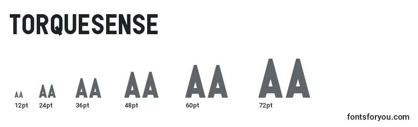 TorqueSense Font Sizes