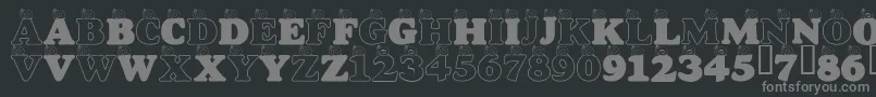 LmsASnailsPace Font – Gray Fonts on Black Background