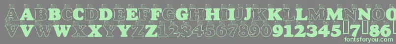 LmsASnailsPace Font – Green Fonts on Gray Background