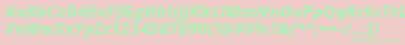 OpenSansExtraboldItalic Font – Green Fonts on Pink Background