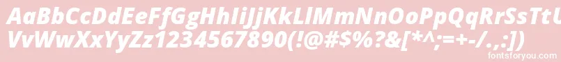 OpenSansExtraboldItalic Font – White Fonts on Pink Background