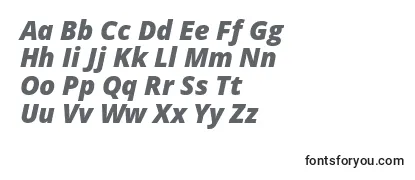 OpenSansExtraboldItalic-fontti