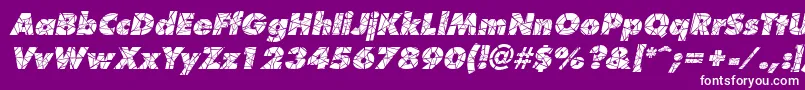 ShatterItalic Font – White Fonts on Purple Background