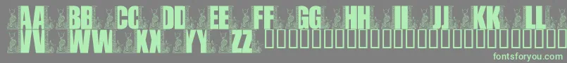 フォントLmsEgyptianBookends – 灰色の背景に緑のフォント