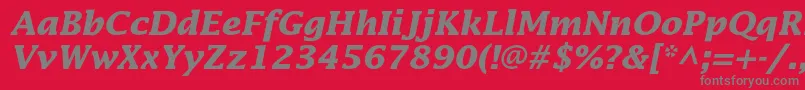 LucidastdBolditalic Font – Gray Fonts on Red Background