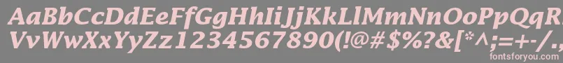LucidastdBolditalic Font – Pink Fonts on Gray Background