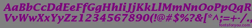 LucidastdBolditalic Font – Purple Fonts on Gray Background