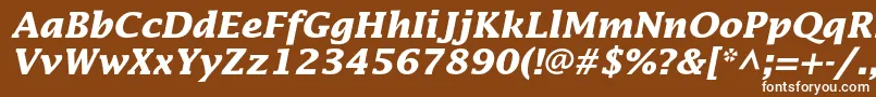 LucidastdBolditalic Font – White Fonts on Brown Background