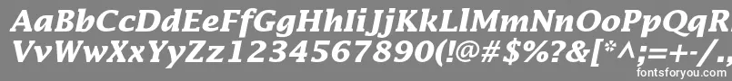 LucidastdBolditalic Font – White Fonts on Gray Background