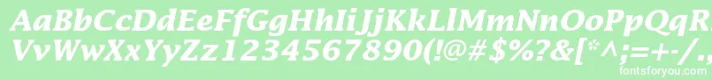 LucidastdBolditalic Font – White Fonts on Green Background