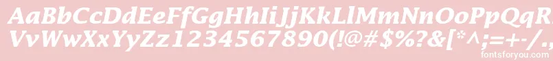 LucidastdBolditalic-Schriftart – Weiße Schriften auf rosa Hintergrund