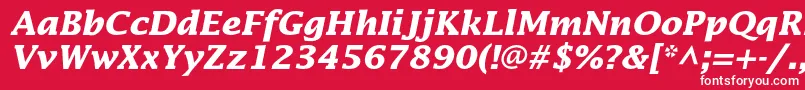 LucidastdBolditalic Font – White Fonts on Red Background