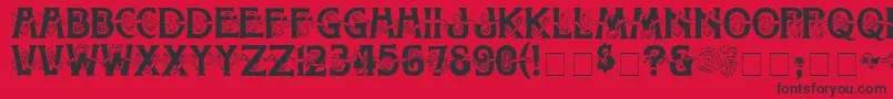 TolettoMedium Font – Black Fonts on Red Background