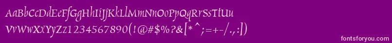 Maryland Font – Pink Fonts on Purple Background