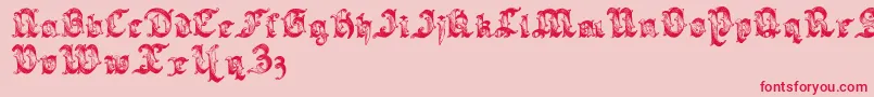 Sarabandlettering Font – Red Fonts on Pink Background