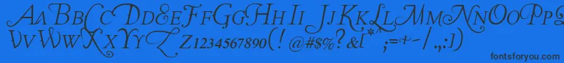 TheLastFontImWastingOnYouItalic Font – Black Fonts on Blue Background