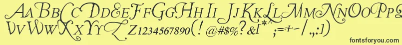 TheLastFontImWastingOnYouItalic Font – Black Fonts on Yellow Background