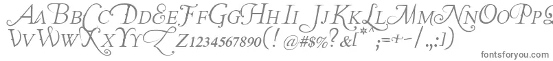 TheLastFontImWastingOnYouItalic Font – Gray Fonts on White Background