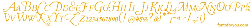 Weitere Informationen zur TheLastFontImWastingOnYouItalic-Schriftart TheLastFontImWastingOnYouItalic-Schriftart – Orangefarbene Schriften