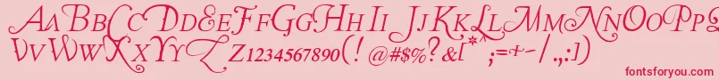 TheLastFontImWastingOnYouItalic Font – Red Fonts on Pink Background
