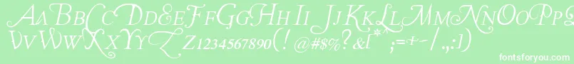 Шрифт TheLastFontImWastingOnYouItalic – белые шрифты на зелёном фоне