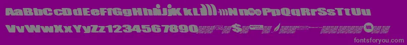 Mintcoin Font – Gray Fonts on Purple Background