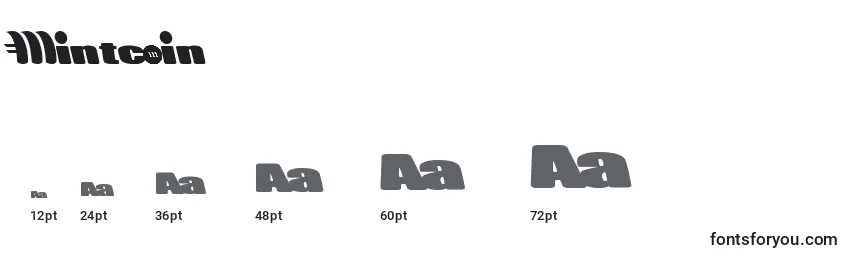 Mintcoin Font Sizes