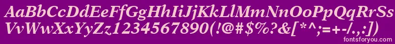 OrchidBlackSsiBoldItalic Font – Pink Fonts on Purple Background