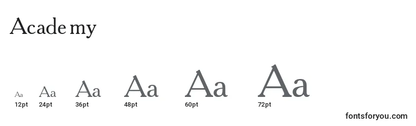 Academy Font Sizes