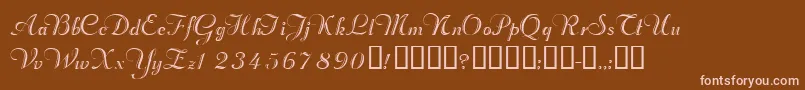 Valletortssk Font – Pink Fonts on Brown Background