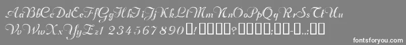 Valletortssk Font – White Fonts on Gray Background
