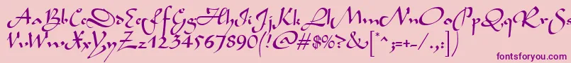 BavandRegular Font – Purple Fonts on Pink Background