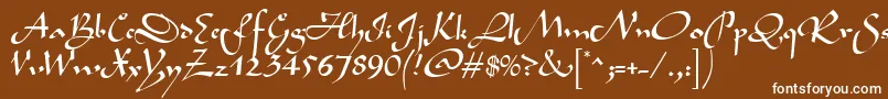 BavandRegular Font – White Fonts on Brown Background