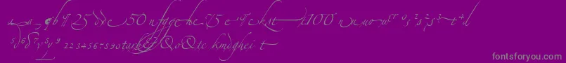 AlexandraZeferinoOrnamental-Schriftart – Graue Schriften auf violettem Hintergrund