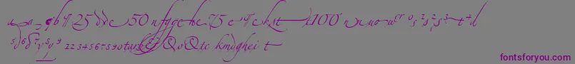 AlexandraZeferinoOrnamental-fontti – violetit fontit harmaalla taustalla