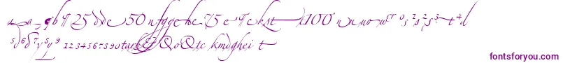 Czcionka AlexandraZeferinoOrnamental – fioletowe czcionki