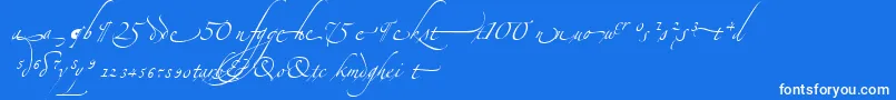 Czcionka AlexandraZeferinoOrnamental – białe czcionki na niebieskim tle