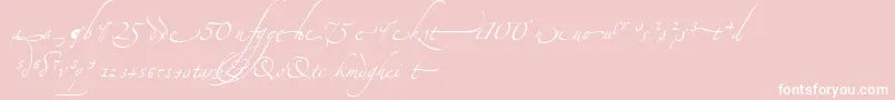 AlexandraZeferinoOrnamental-Schriftart – Weiße Schriften auf rosa Hintergrund