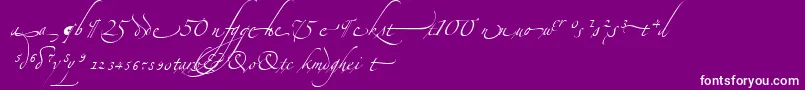 AlexandraZeferinoOrnamental-fontti – valkoiset fontit violetilla taustalla