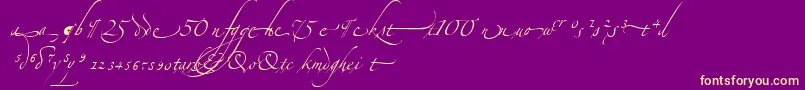 AlexandraZeferinoOrnamental-Schriftart – Gelbe Schriften auf violettem Hintergrund