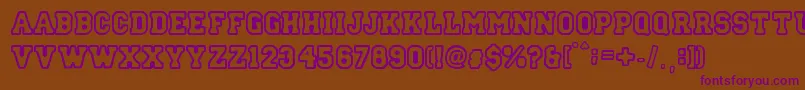 StreetCollege Font – Purple Fonts on Brown Background