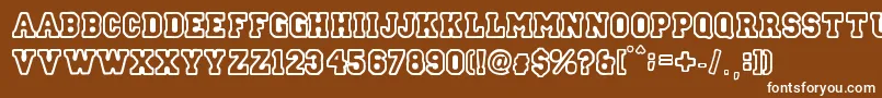 StreetCollege Font – White Fonts on Brown Background